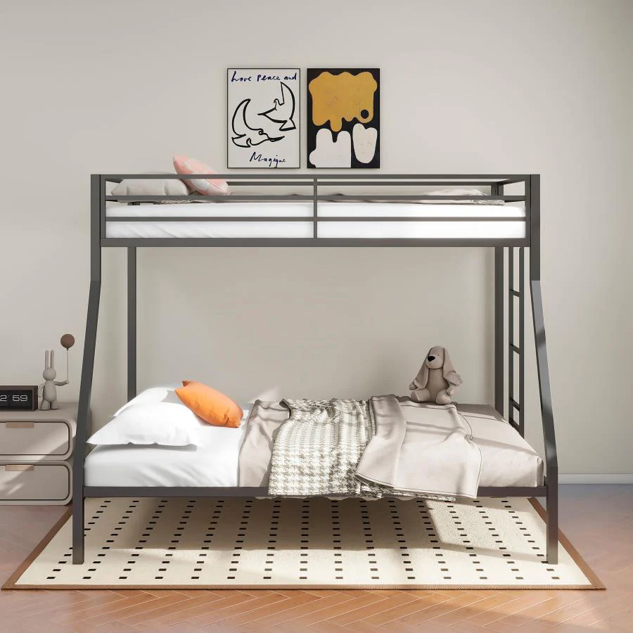 Alevera - Metal Bunk Bed With Ladder - Image 11