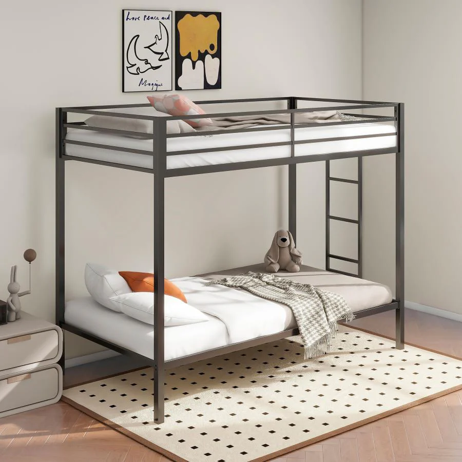 Alevera - Metal Bunk Bed With Ladder - Image 5
