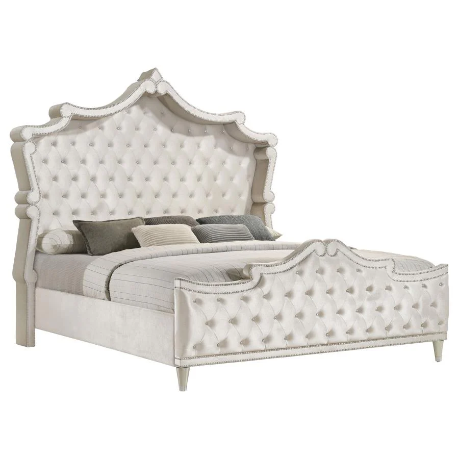 Antonella - Upholstered Panel Bed - Image 2