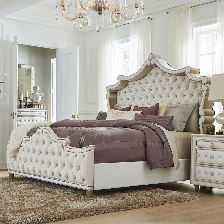 Antonella - Upholstered Panel Bed - Image 7
