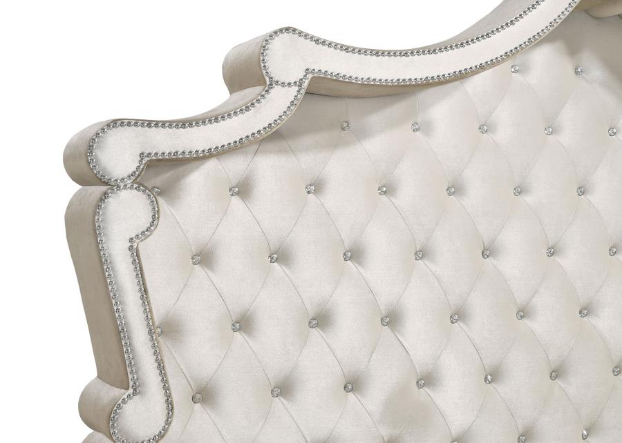 Antonella - Upholstered Panel Bed - Image 9