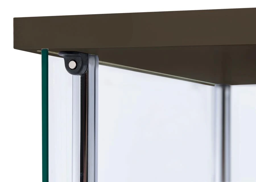 Bellatrix - 4-Shelf Clear Glass Curio Cabinet - Image 19