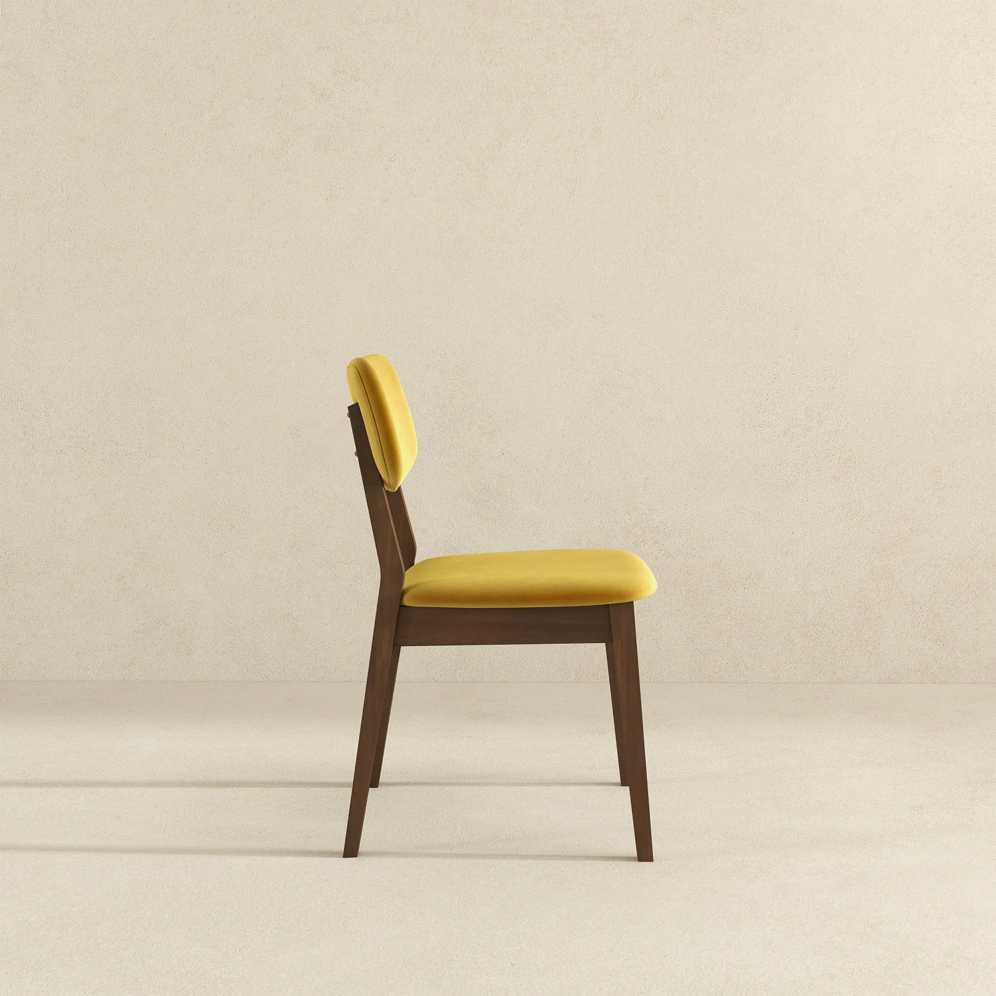 Carlos - Solid Back Side Chair (Set of 2) - Image 15