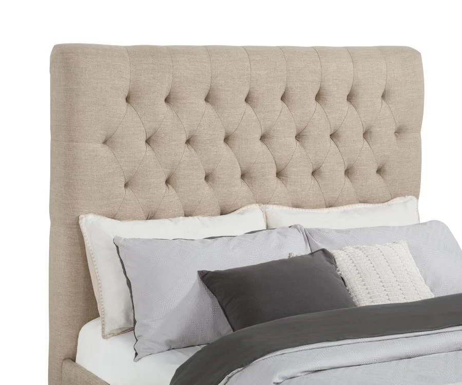 Chloe - Upholstered Panel Bed - Image 25