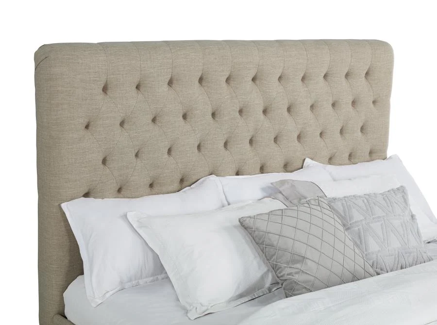 Chloe - Upholstered Panel Bed - Image 26