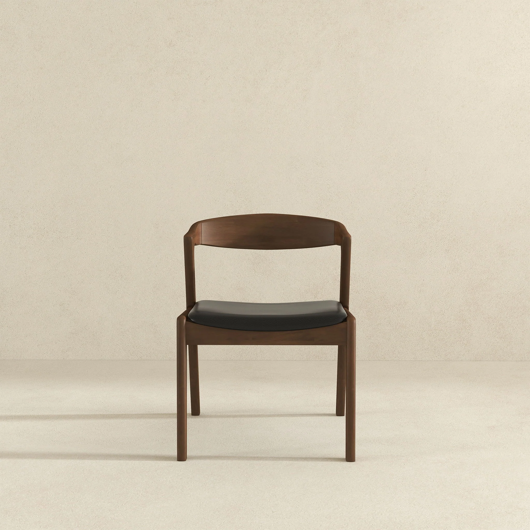 Dakota - Mid-Century Modern Dining Chair (Set of 2) - Image 13