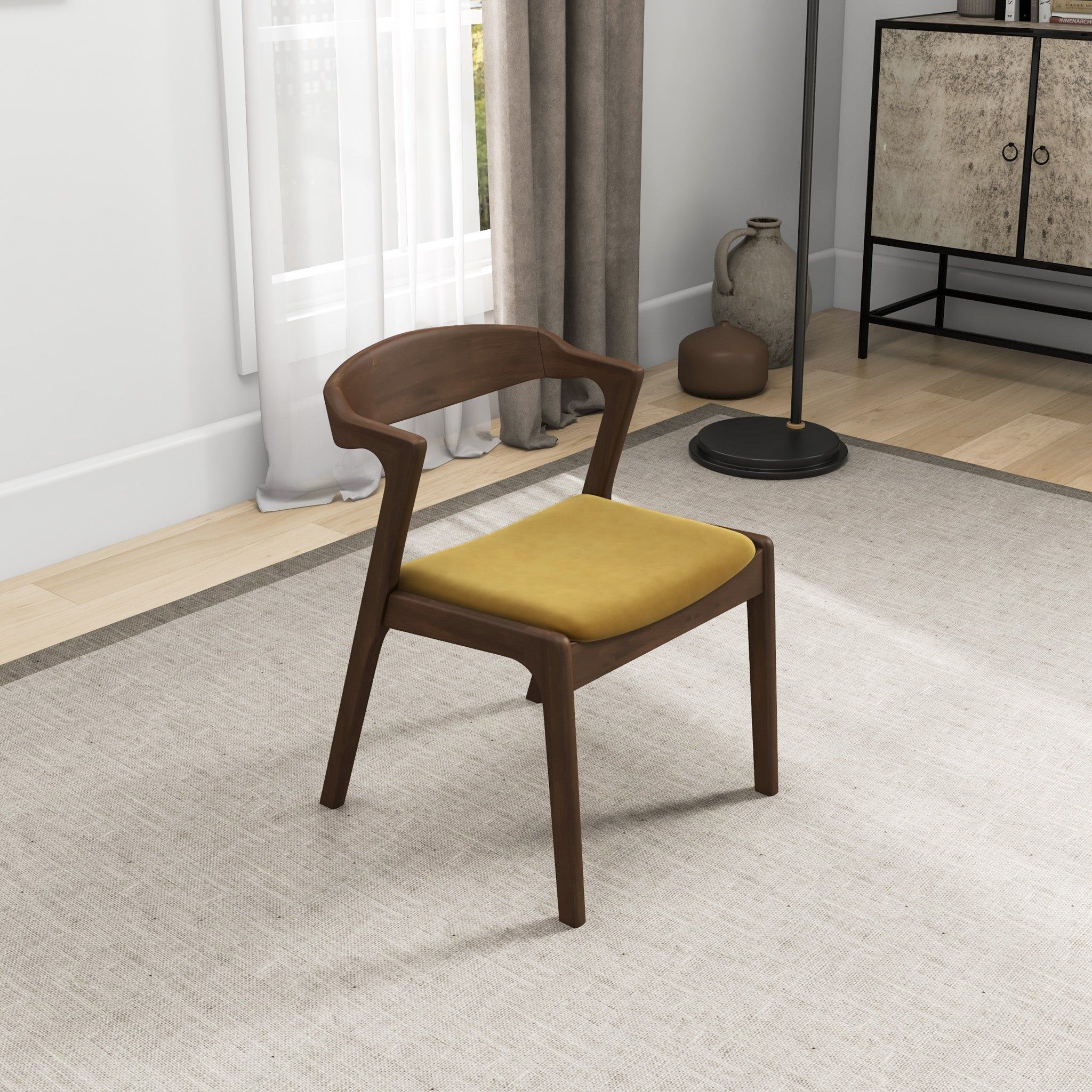 Dakota - Mid-Century Modern Dining Chair (Set of 2) - Image 29