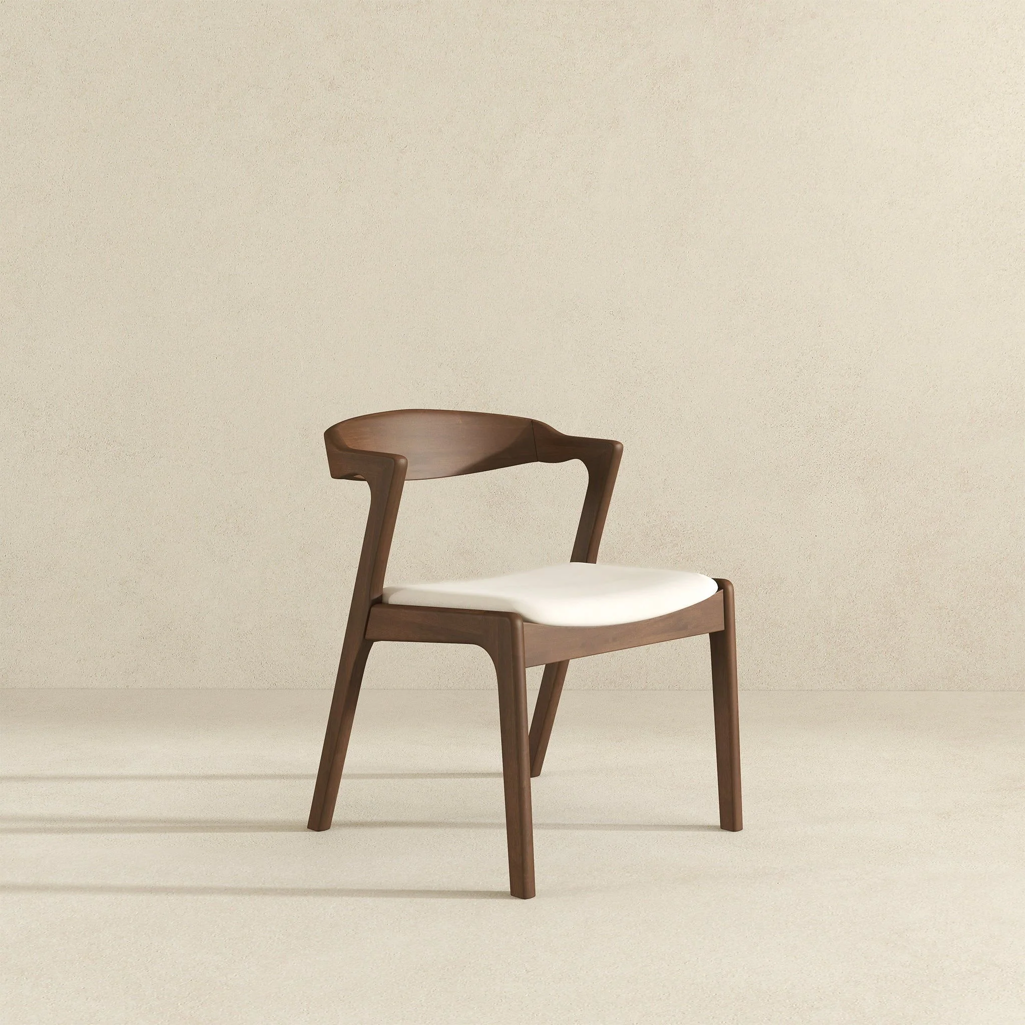 Dakota - Mid-Century Modern Dining Chair (Set of 2) - Image 33