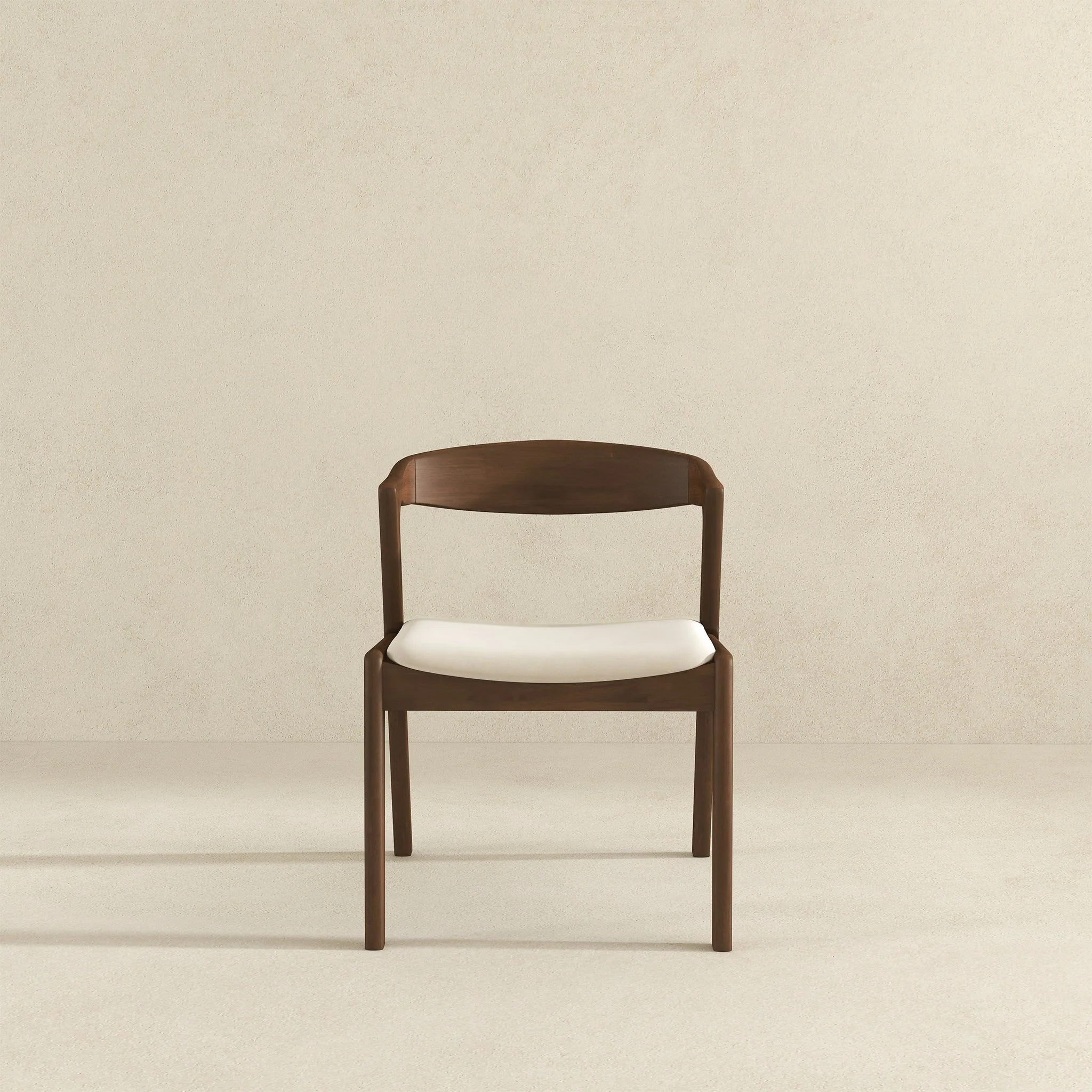 Dakota - Mid-Century Modern Dining Chair (Set of 2) - Image 36