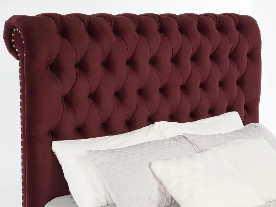 Devon 57-inch Upholstered Panel Bed Wine Red - Image 8