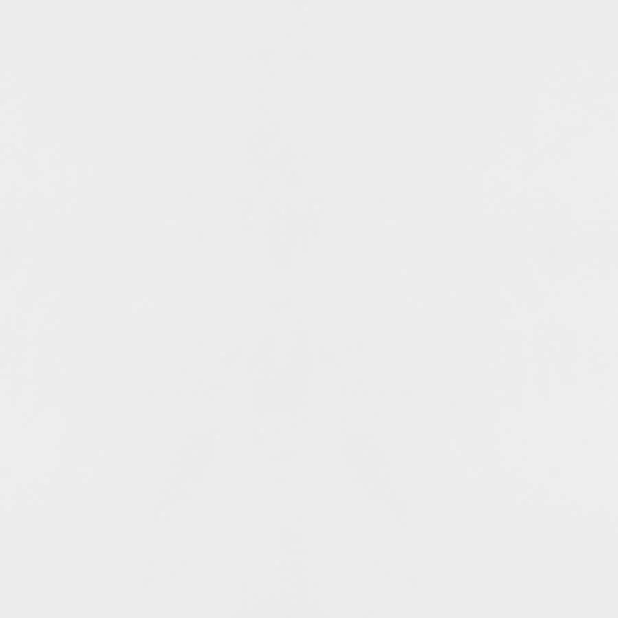 Elsa - 2 Door Wood Storage Accent Cabinet - White And Gold - Image 11