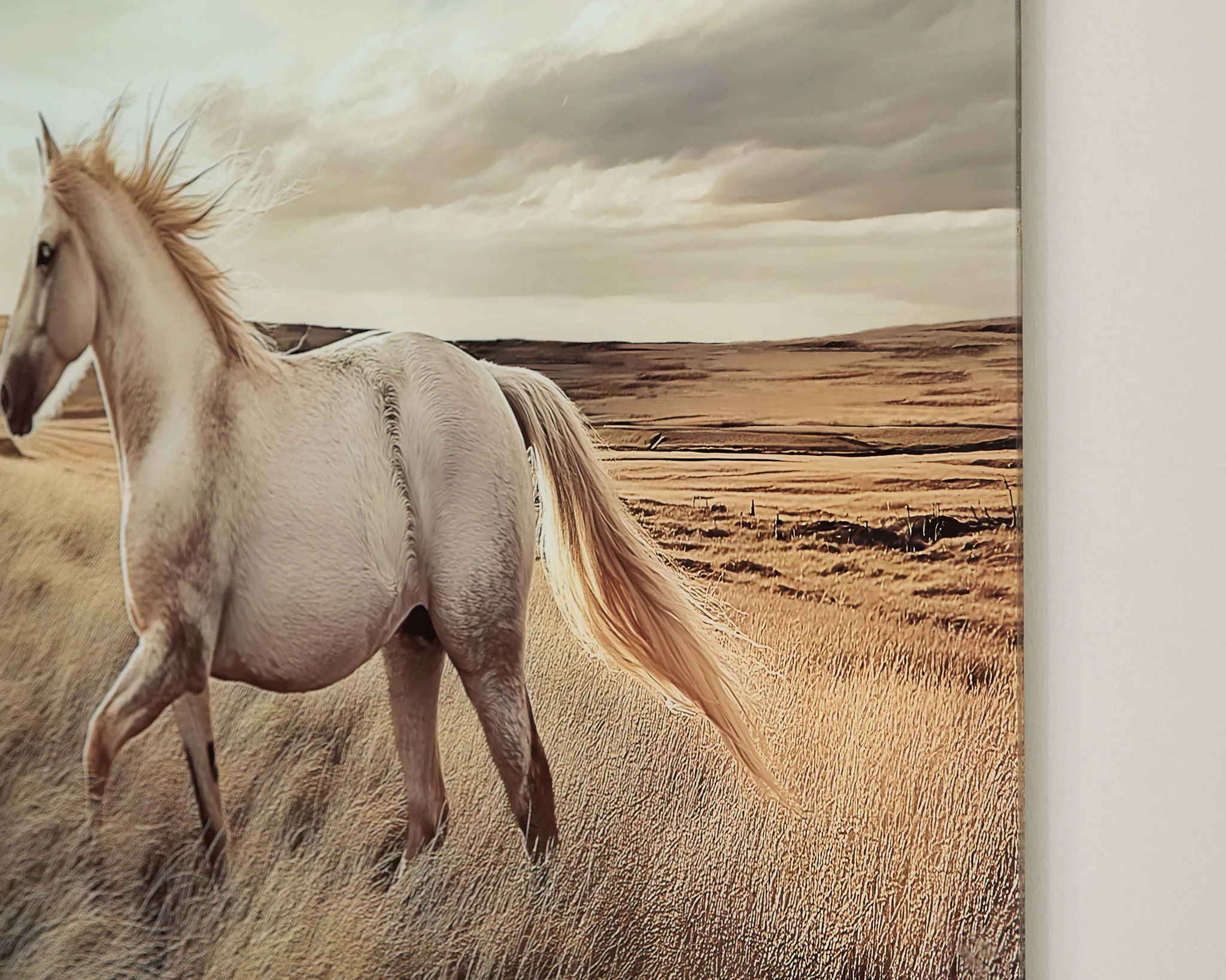 Errolville - Wall Art - Multi - Image 3