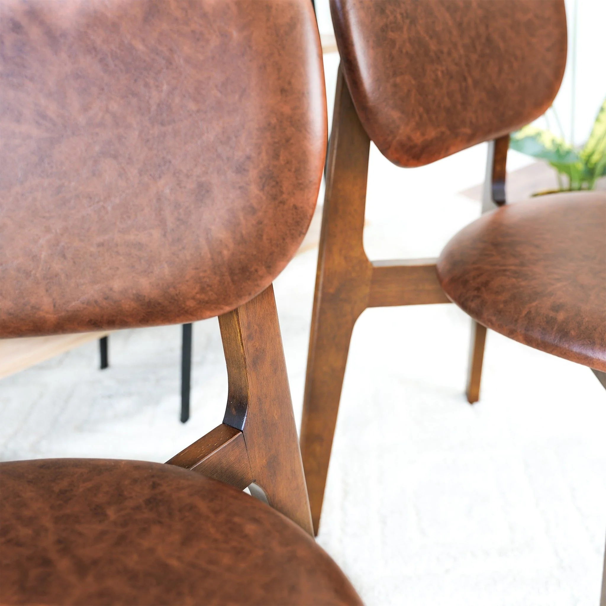 Kelsey - Stylish Dining Chair (Set of 2) - Image 8