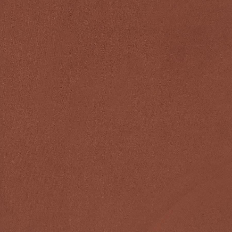 Liana - Upholstered Roll Arm Accent Armchair - Rust - Image 11