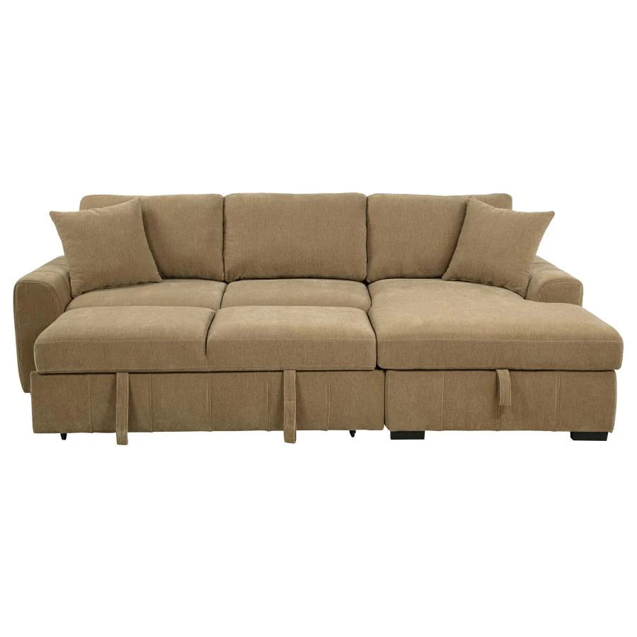 Pastrana - Upholstered Sleeper Sectional Sofa - Image 16