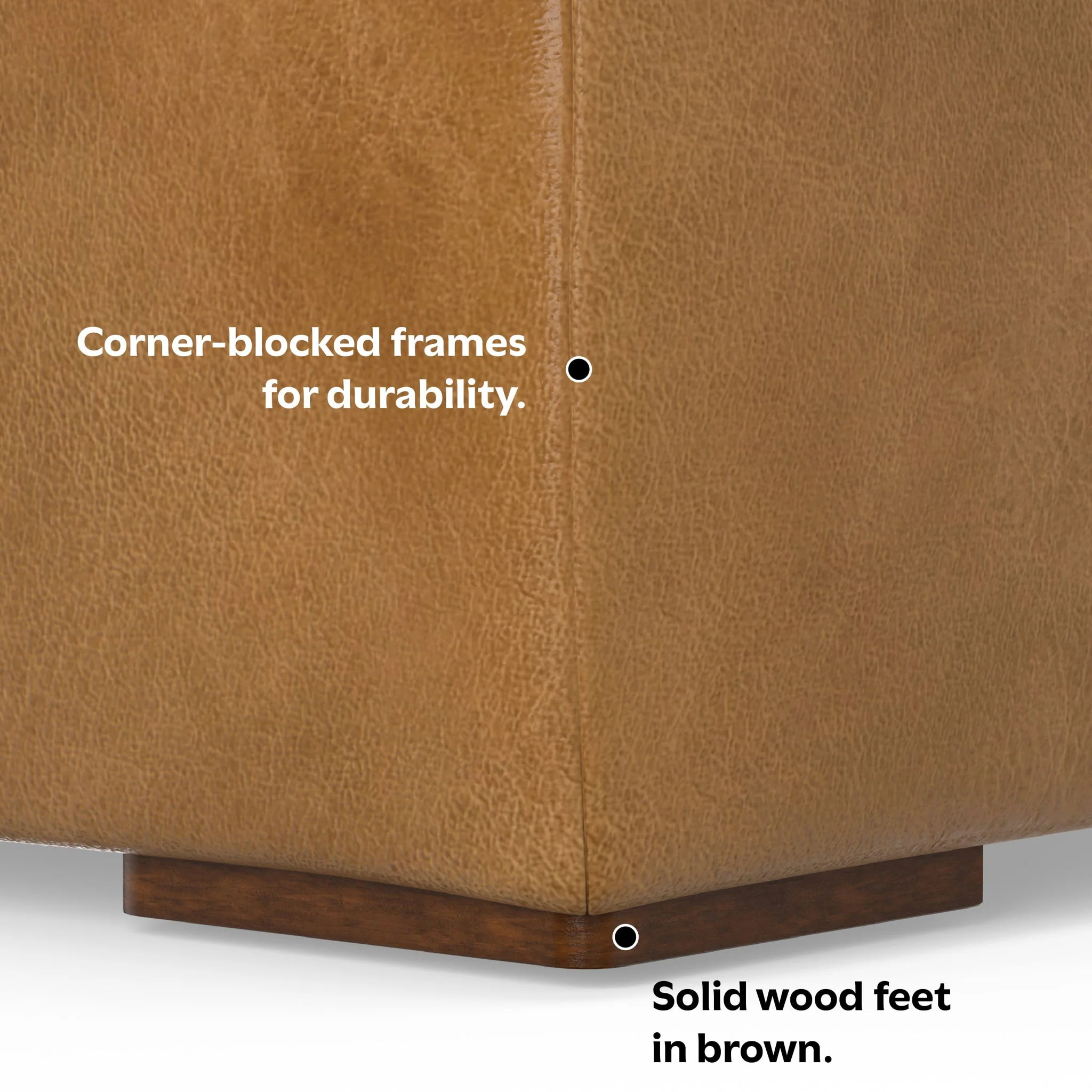 Rex - Center Sofa Module - Image 13