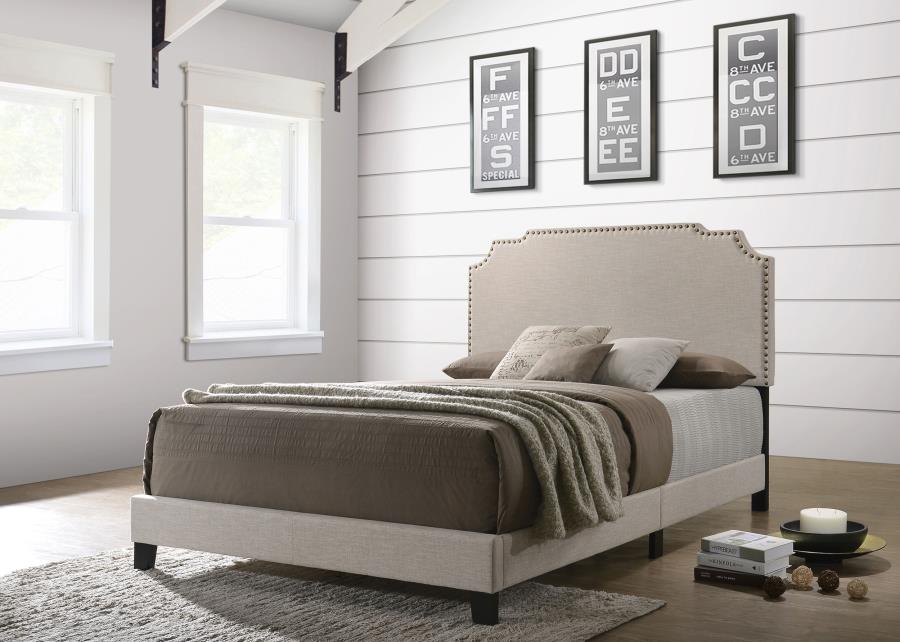 Tamarac - Upholstered Panel Bed - Image 4